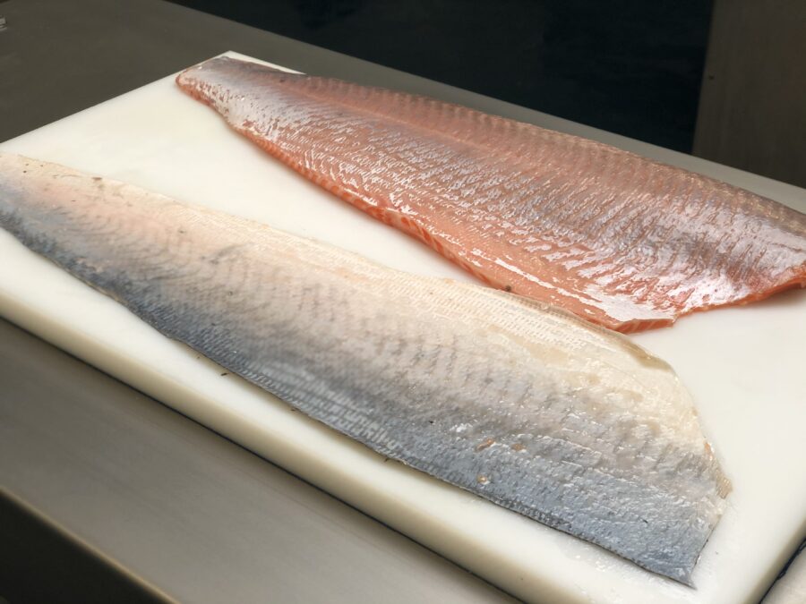 skinned salmon fillet & skin. Skinned with STEEN ST111 Manual tabletop skinning machine skinner