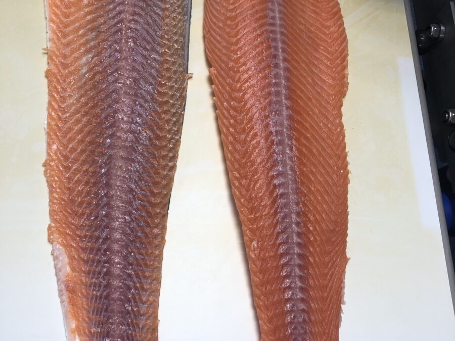 Deepskinned Salmon - STEEN fish skinning
