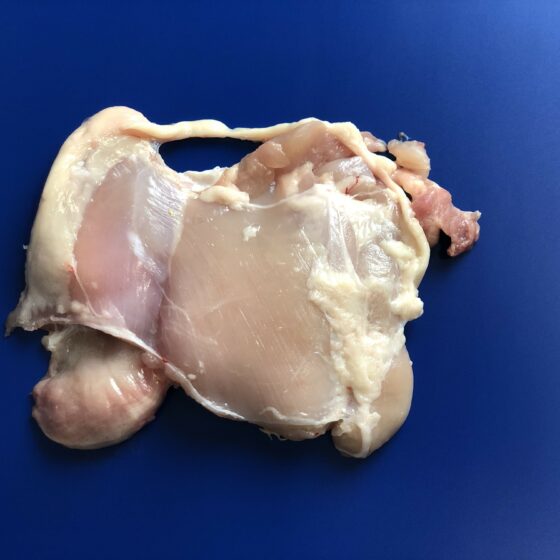 Skinned deboned chicken thigh - STEEN ST700K
