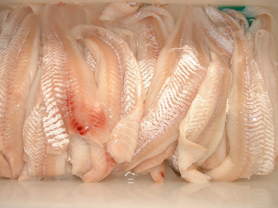 Free standing fish skinner - skinned cod fillets